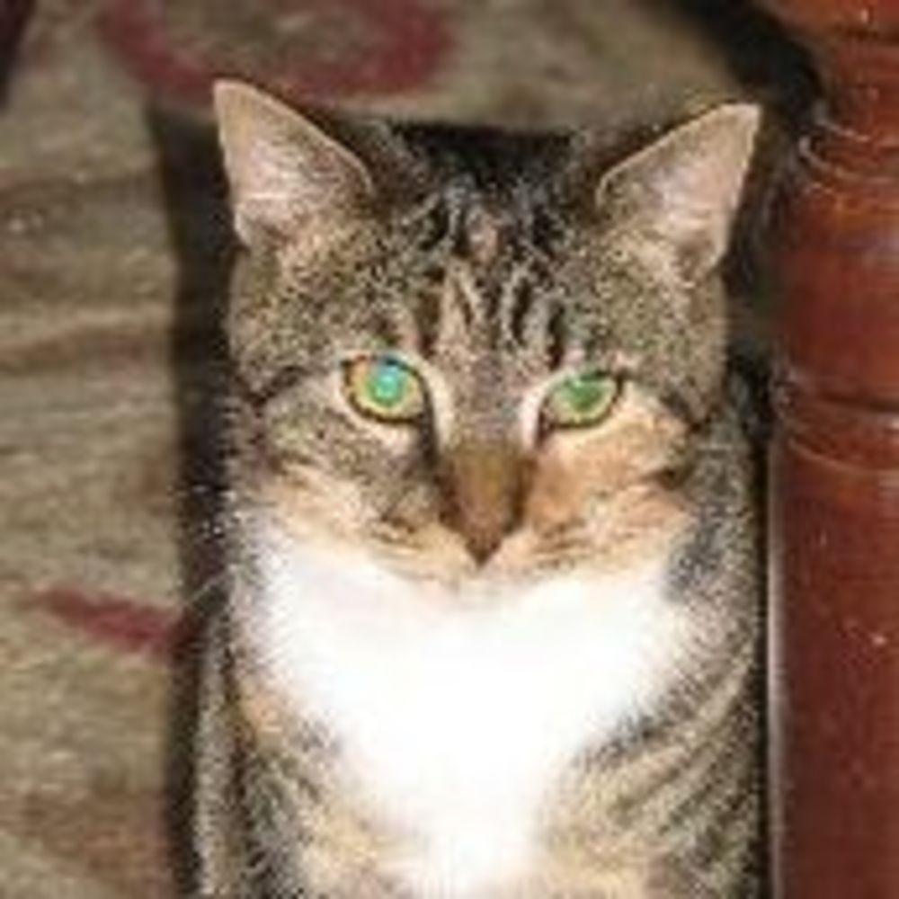 Meet your Posher, Dresden